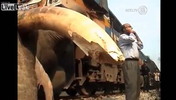 インドで巨大な象が列車にはねられる