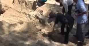 【動画】ビーチの砂浜に埋まっていた女性の遺体