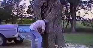 【神業】チェーンソーでぶっとい木を切ったけど運ぶのが面倒だな～って人必見！