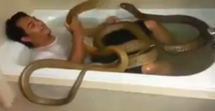 【動画】蛇と風呂に入ってる男がいる
