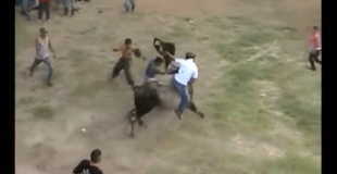 【衝撃】闘牛に背中を刺された少年…。