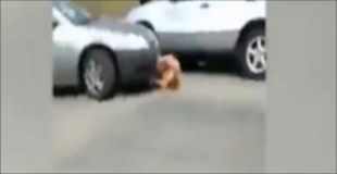 【喧嘩動画】喧嘩で負けた腹いせに車で轢かれる黒人の女