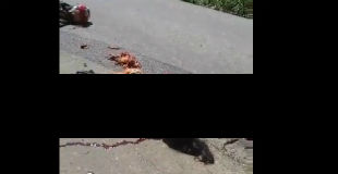 【閲覧注意】交通事故でカップルがグチャグチャになってただの肉の塊になってる映像…