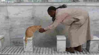 【動画】モスクで猫にお水を上げる男性ｗ
