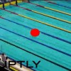 【衝撃動画】ロシアで開催された水泳大会にとんでもないヤツが乱入してきたｗｗｗ