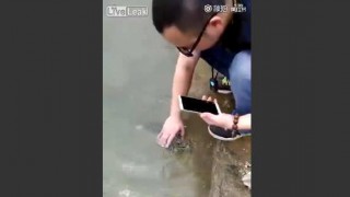 【衝撃動画】異常に人懐っこい魚が中国で撮影されるｗｗｗｗｗ
