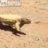 【動画】サウジアラビアの砂漠がいかに暑いかわかる動画ｗ