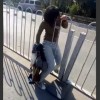 【動画】なんでこうなるｗ道をショートカットしようとした女性がフェンスから抜けられなくなるｗｗｗ