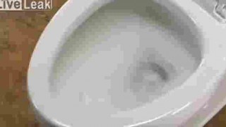 【衝撃動画】イマドキの水洗トイレはなんでも流せますｗｗｗ