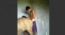 【動画】雌馬と交尾してたら見つかっちゃった男性ｗｗｗ